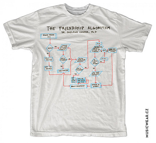 Big Bang Theory koszulka, The Friendship Algorithm, męskie